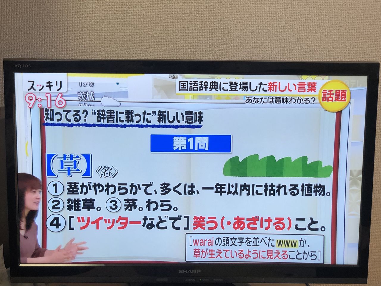 ネットスラングの 草 が国語辞書に登録されて草生えるｗｗｗ あにまんch