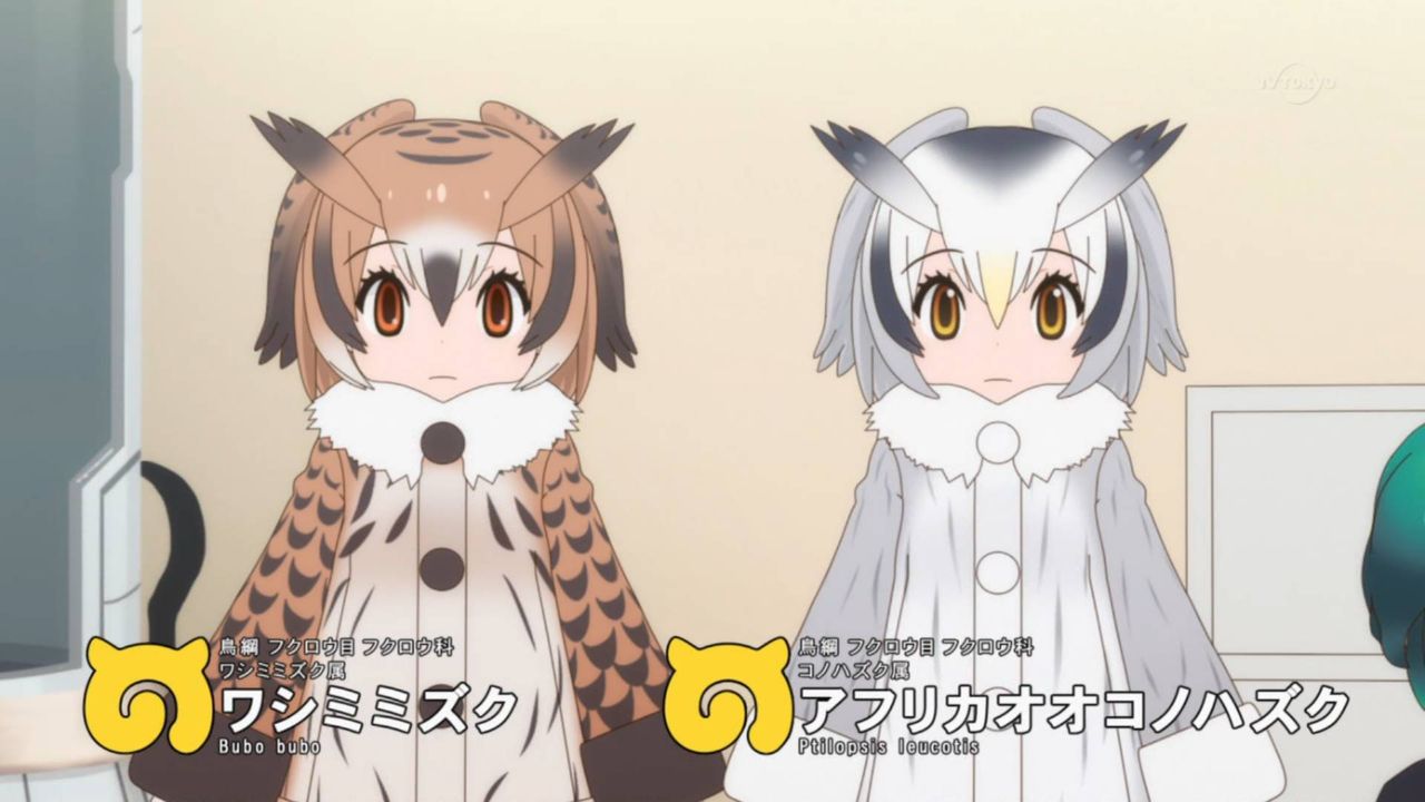 感想 けものフレンズ2 6話 話は動いたが1期キャラの扱いで賛否両論に けもフレ2 あにまんch