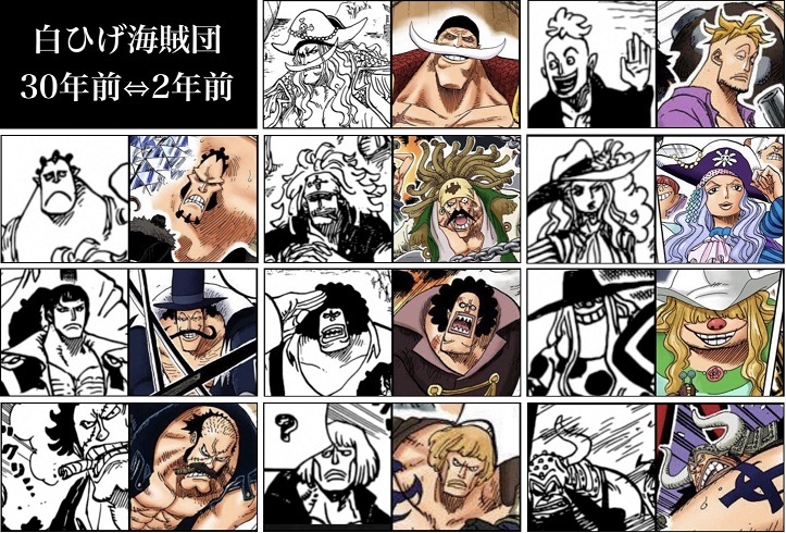 白 ひげ 海賊 団 メンバー 海賊 One Piece